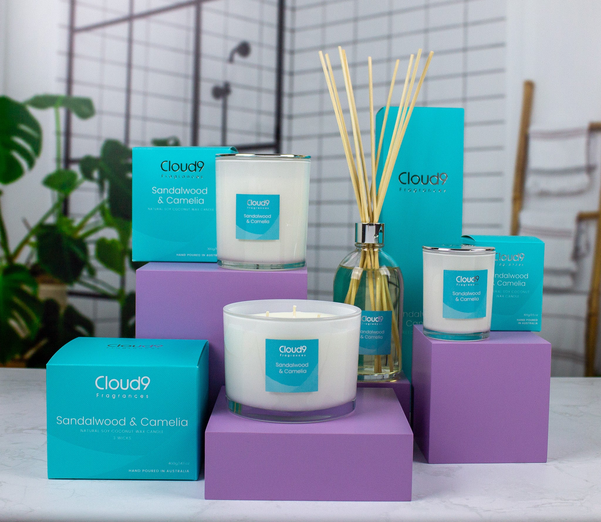 Sandalwood & Camelia Scented Candle 3 Wick