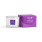 Sweet Violet & Camelia Scented Candle 3 Wick